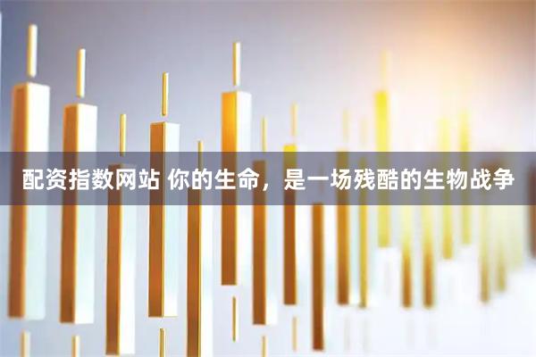 配资指数网站 你的生命，是一场残酷的生物战争